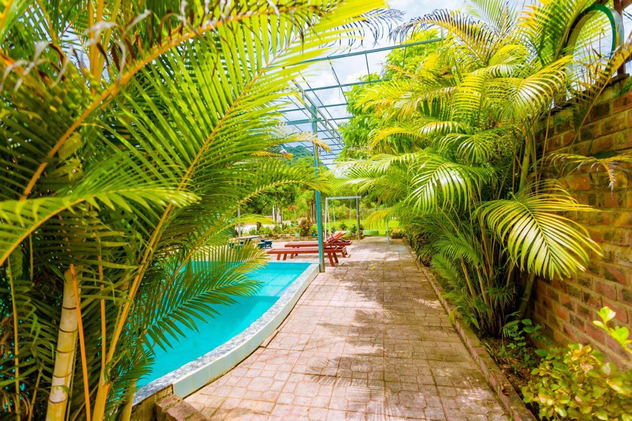 Phong Nha Amanda 2 Homestay Esterno foto